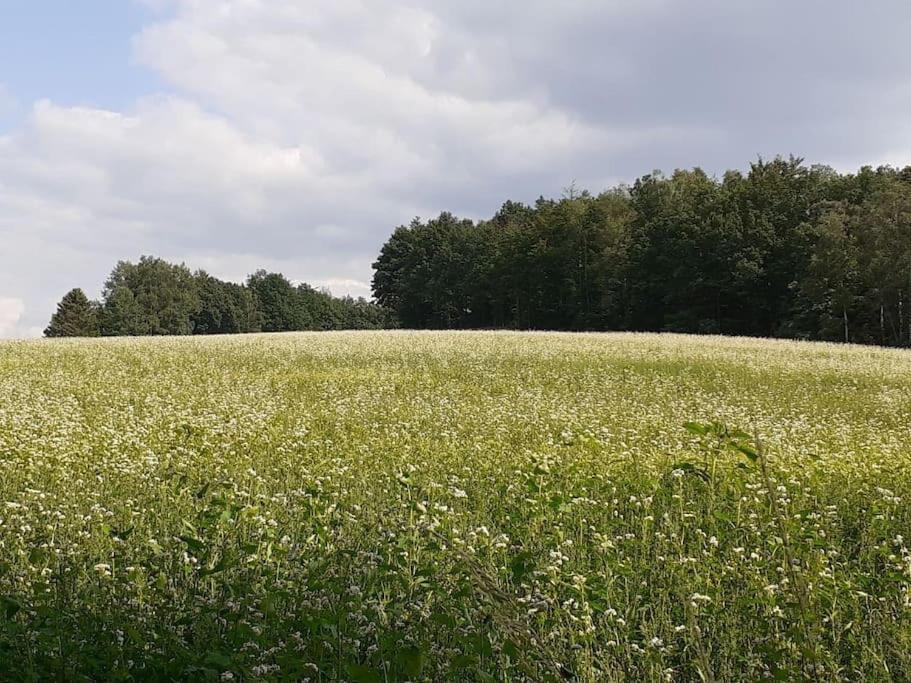 Schoene Und Ruhige Ferienwohnung In Ottendorf Sebnitz Εξωτερικό φωτογραφία