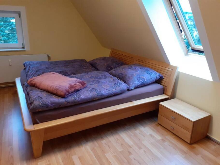 Schoene Und Ruhige Ferienwohnung In Ottendorf Sebnitz Εξωτερικό φωτογραφία