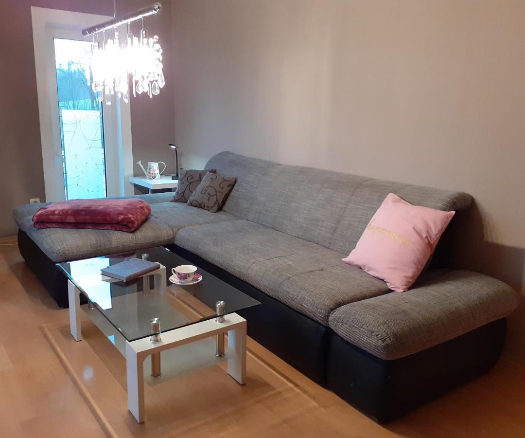 Schoene Und Ruhige Ferienwohnung In Ottendorf Sebnitz Εξωτερικό φωτογραφία