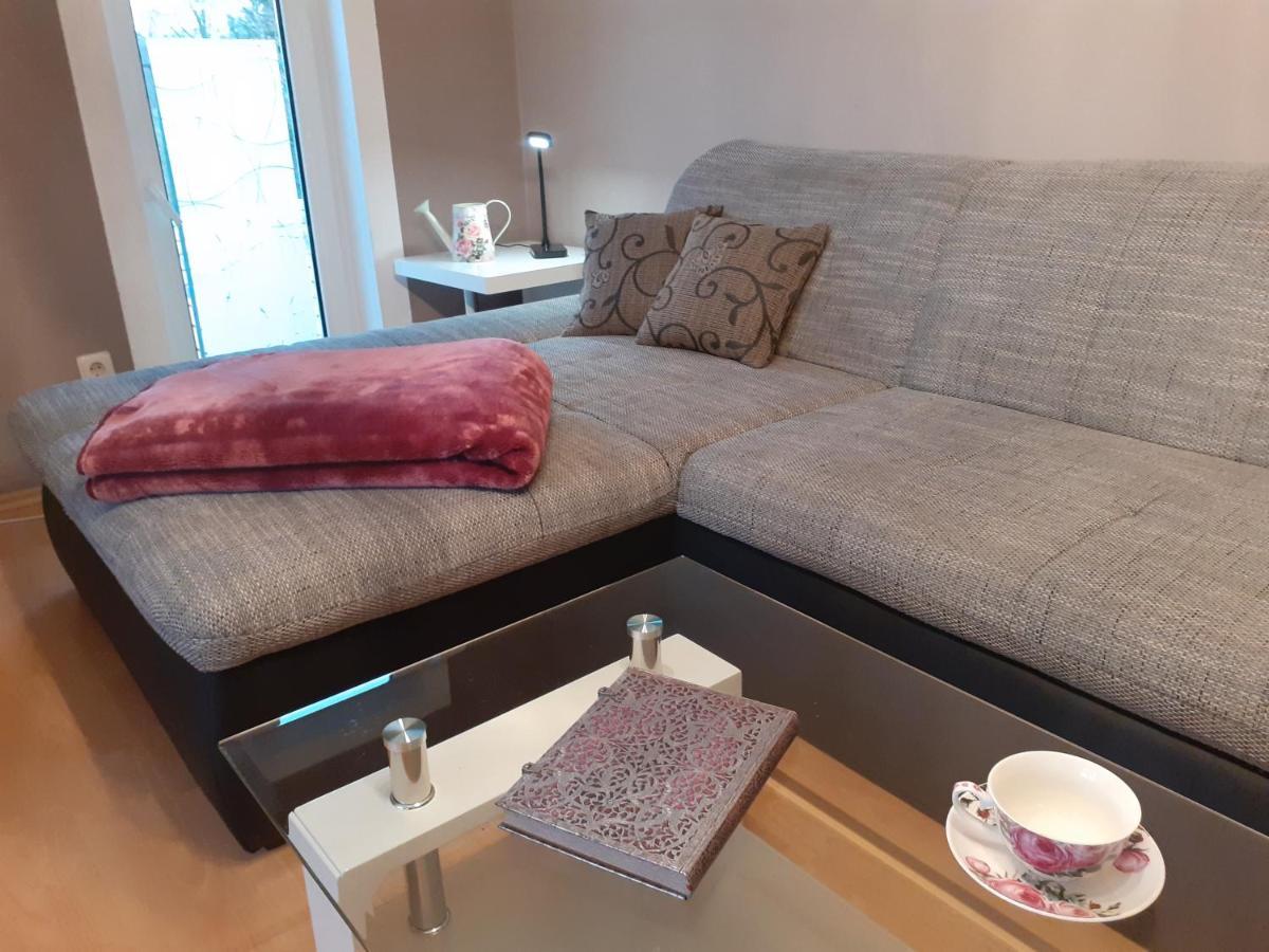 Schoene Und Ruhige Ferienwohnung In Ottendorf Sebnitz Εξωτερικό φωτογραφία
